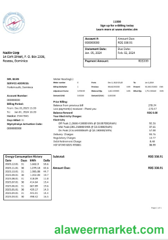 Dominica Electricity Services Limited electricity business utility bill word and pdf formats